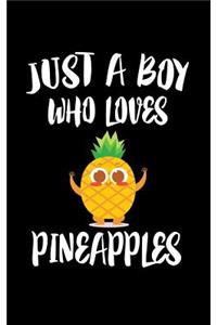 Just A Boy Who Loves Pineapples