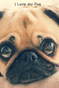 I Love My Pug