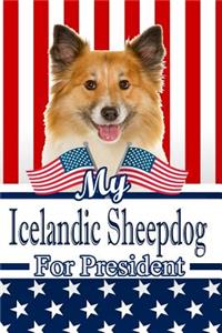 My Icelandic Sheepdog for President
