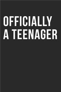 Officially a Teenager