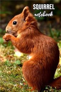 Squirrel Notebook