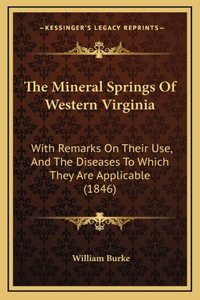 The Mineral Springs of Western Virginia