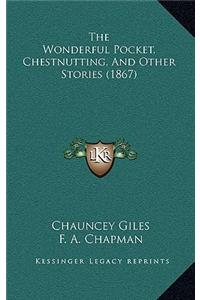 Wonderful Pocket, Chestnutting, And Other Stories (1867)