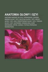 Anatomia G Owy I Szyi