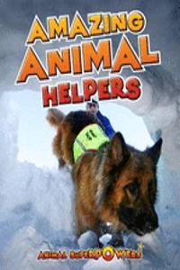 Animal Superpowers Pack A of 5