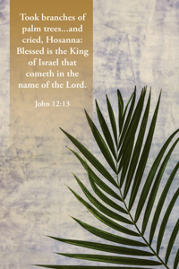 In the Name of the Lord Bulletin (Pkg 100) Palm Sunday