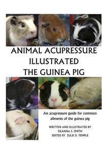 Animal Acupressure Illustration The Guinea Pig