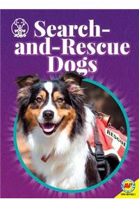 Search-And-Rescue Dogs