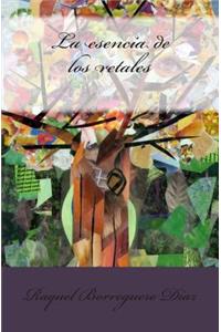 esencia de los retales