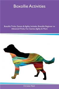 Boxollie Activities Boxollie Tricks, Games & Agility Includes