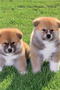 Akita Inu December Notebook Akita Inu Record, Log, Diary, Special Memories, To Do List, Academic Notepad, Scrapbook & More