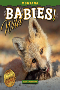 2024 Montana Wild Babies Wall Calendar