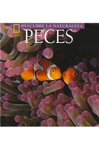 Peces