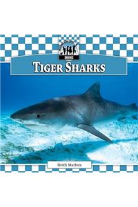 Tiger Sharks