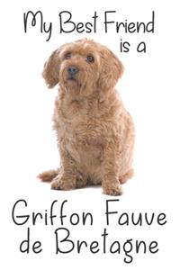 My best Friend is a Griffon Fauve de Bretagne