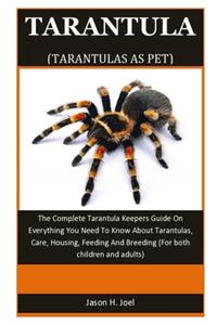 Tarantula As Pet