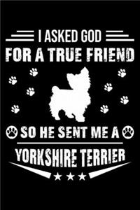 I Asked God For A True Friend So He Sent Me A Yorkshire Terrier