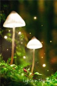 Lights in the Night
