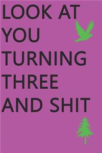 Look at You Turning Three and Shit Notebook Birthday Gift