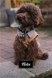 Poodle Dog Pup Puppy Doggie Notebook Bullet Journal Diary Composition Book Notepad - Look In Astonishment