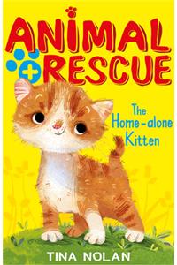 The Home-Alone Kitten