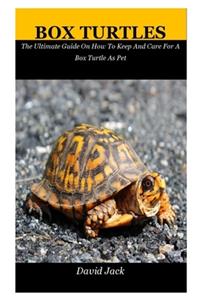 Box Turtles: The Ultimate Guide On How To Keep And Care For A Box Turtle As Pet