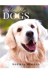 Adorable Dogs