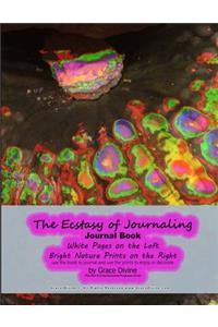 The Ecstasy of Journaling Journal Book White Pages on the Left Bright Nature Prints on the Right use the book to journal and use the prints to enjoy or decorate by Grace Divine