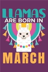 Llamas Are Born in March