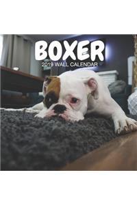 Boxer 2019 Wall Calendar