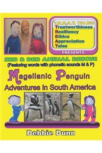Magellanic Penguin Adventures in South America