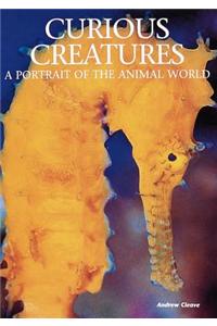 Curious Creatures: A Portrait of the Animal World: A Portrait of the Animal World