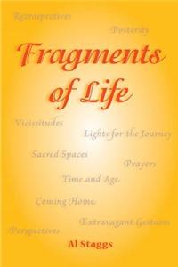 Fragments of Life