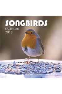 Songbirds Calendar 2018