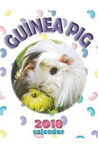 Guinea Pig 2018 Calendar (UK Edition)