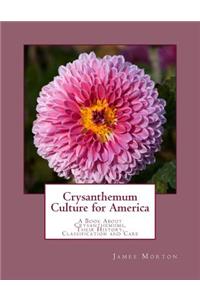 Crysanthemum Culture for America