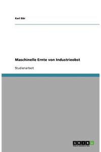 Maschinelle Ernte von Industrieobst