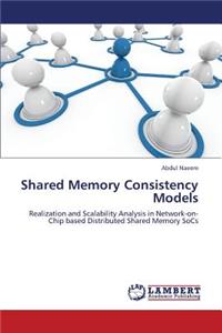 Shared Memory Consistency Models