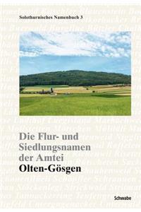 Die Flur- Und Siedlungsnamen Der Amtei Olten-Gosgen