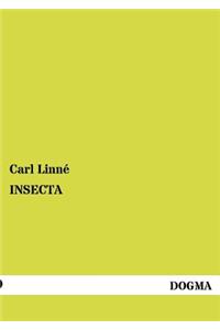 Insecta