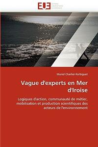 Vague d''experts En Mer d''iroise