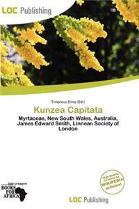 Kunzea Capitata