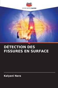 Détection Des Fissures En Surface