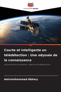Courte et intelligente en télédétection