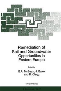 Remediation of Soil and Groundwater