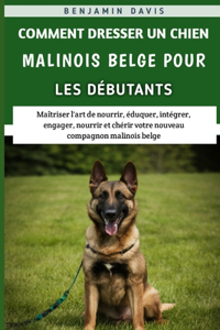 Comment Dresser Un Chien Malinois Belge Pour Les Débutants