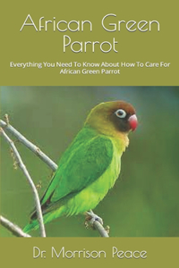 African Green Parrot