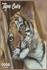 Tiger Cubs 2021 Calendar