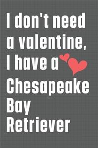 I don't need a valentine, I have a Chesapeake Bay Retriever