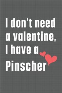 I don't need a valentine, I have a Pinscher
